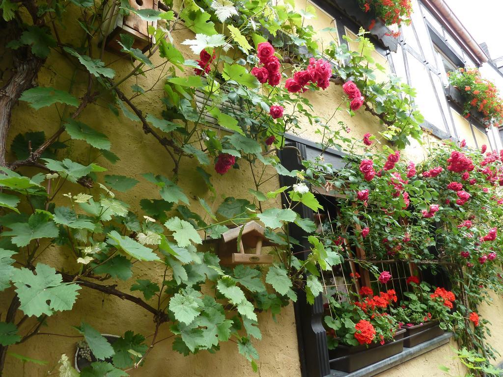 Bed and Breakfast Alte Weinstuben Steinfelder Hof Garni Ellenz-Poltersdorf Exterior foto